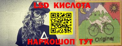 крисы Моздок