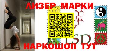 крисы Моздок