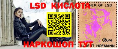 крисы Моздок
