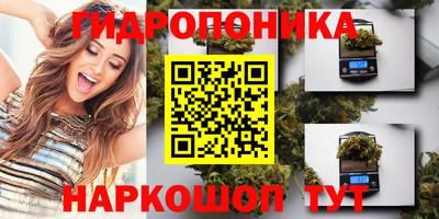 гидропоника Можайск