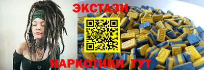 крисы Моздок