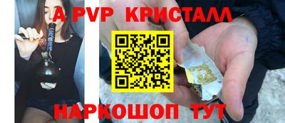крисы Моздок