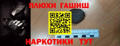 крисы Моздок