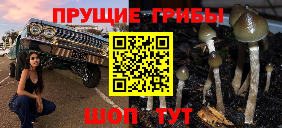 Верхняя Салда  Псилоцибиновые грибы Psilocybe  Вход с VPN 